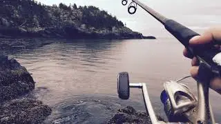 {ASMR} Casting Fishing Reel Whirr- 1 Hour 1080p HD Tingle Sounds For Sleep Relax Study (NO TALKING)