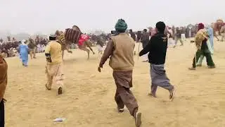 Untho ki Kushti اونٹ کی کشتی