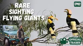 The Great Indian Hornbill Caught on Camera in Wild | Dandeli Hornbill Chase | EP02 TRAILER
