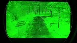 US Army Soldier reaction to Black Panther Sighting in South Carolina