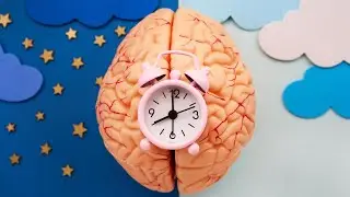 New TOEFL Listening Part 4 (2026) | Academic Lecture #6 (Circadian Rhythms)