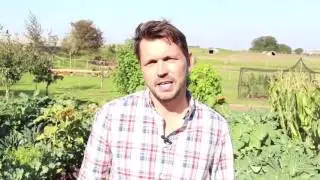 A message from patron of Pigs Gone Wild, Jimmy Doherty