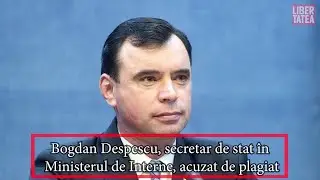 Bogdan Despescu, secretar de stat &icirc;n Ministerul de Interne, acuzat de plagiat