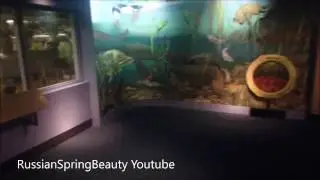 Bow Habitat Station, Sam Livingston fish hatchery & Trout Rearing Center in Calgary
