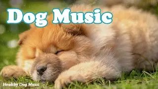 Healing Music for Dogs 🐶Gentle Songs to Promote Sleep, Cure Depression!