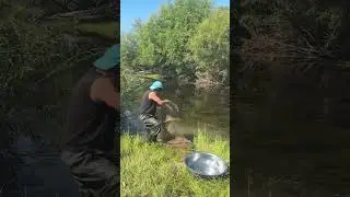 #Outdoor Fishing and Shrimp Catching