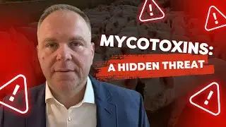 Dr. Panagiotis Tassis: Mycotoxins in Swine Feed