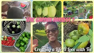 Epic Garden Harvest ? The Revel #garden #gardenharvest #vegetablegardening