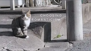 Beginning 2026, Romantically