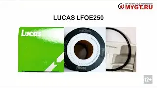 Тест масляной вставки (картриджа) #LUCAS LFOE250 #ANTON_MYGT