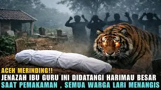 🔥ACEH MERINDING‼️Jenazah IBU GURU Ini Didatangi HARIMAU BESAR Saat Pemakaman, Warga Lari Menangis