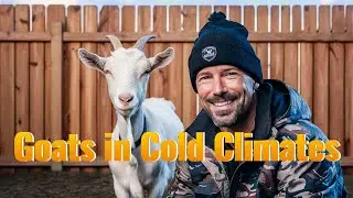 Top FARMING Expert Shares Secrets for Raising Goats in Cold Climates