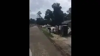 Reliable Restoration on the Ground in Louisiana 082516 (1)