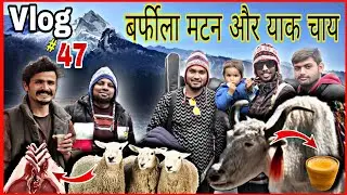 बर्फीला मटन और याक चाय | Vlog-47 | yak ke milk ki chai | yak milk tea | mutton korma बर्फीली वादियाँ