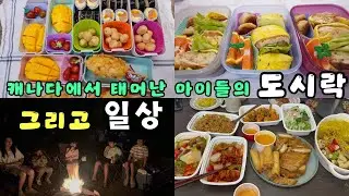 🇨🇦학교에 먹으러 가는 아이들의 한식 도시락/바쁜아침에 싸는 세아이 도시락/학교 빠지고 놀러가는 캐나다에 사는 다섯가족/korean lunchbox