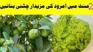 How to Make Tasty Guava Sauce at Home | امرود کی چٹنی۔ | Easy Homemade Recipe | Pak Food Seceret