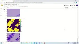 icp11