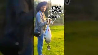 Striped Frog Lure Magic! Small Bait That Tempts Snakeheads 🐸⚡