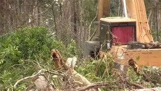 Western banks financing illegal south-east Asian land grabs