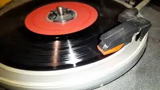 I Cuccioli Fiabe Sonore - Dischi 45 giri Fabbri Editori vintage - prova funzionamento vinile