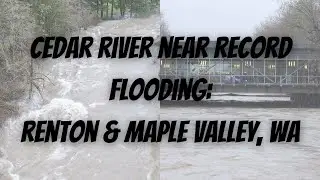 12-12-2025: Renton/Maple Valley, WA: Cedar River Near Record Flooding