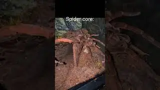 Spider core😅It was scary at first🤦🏾&zwj;♂️ #living_life #funny #viralvideo #Shorts #Spider