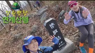 강원도 평창군 ⛰️  장미산–덕두산-대미산-청태산  연계산행 / 오지산행 #평창군 #연계산행 #등산 #좋은사람들