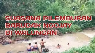 Barudak pilemburan ngojay di walungan