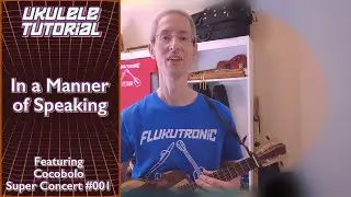 Ukulele Tutorial x 2: 