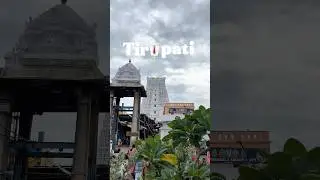 तिरुपती दर्शन 🛕 | Tirupati Mini Vlog | Pune to Tirupati Journey | Vaibhav Vlogs