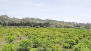 GOEL BIO - EXPO 2015