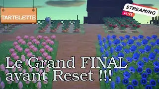 Le Grand FINAL sur Tartelette : TOUT doit DISPARAÎTRE !!! - Animal Crossing New Horizons [LIVE]
