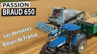 Les derni&egrave;res Bleues de France - BRAUD 650 &agrave; la r&eacute;colte de l'avoine