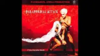 Paranormal Attack - The Beat