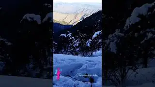 Nagtibba trek🏔#themountainhike #shorts #mountains #viralshort #trendingshorts #view #treking
