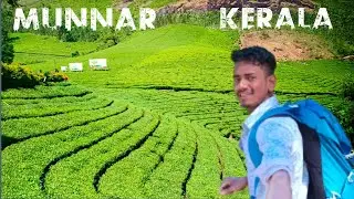 Munnar India's Beautiful Place Tea Garden Kerala