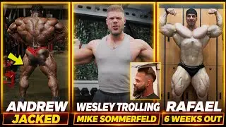 Wesley Vissers TROLLING Mike Sommerfeld + Andrew Jacked BACK UPDATE + Rafael Brandao 6 Weeks Out