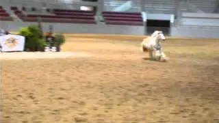 2015 Feathered Horse Classic &ndash; National Championship on January 14, 2016