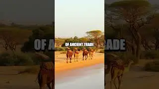 Djibouti: Frontier of Fire and Sea