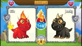 NEW BREEDING: Flaming Rock Dragon & Hedgehog Dragon | DRAGON CITY 😍