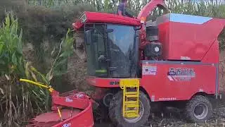 Original sound of harvesting operation of Senrui self-propelled green forage harvester