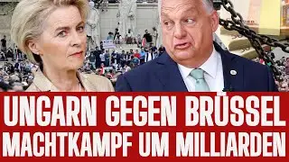 SCHOCK IN BR&Uuml;SSEL: EU-HILFEN MASKIEREN RAUBZUG?