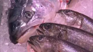 Fisch-Sommelier tief im Süden | BR24