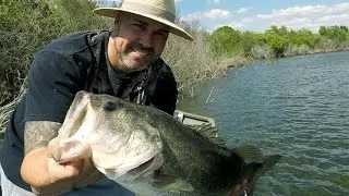 Strike King 8XD!! Central Fla Bass March 5th 2017