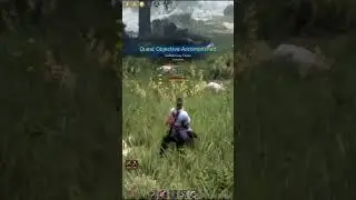 G&ouml;rev Sistemi ve Pve İ&ccedil;erikler Black Desert Online'da Nasıl??