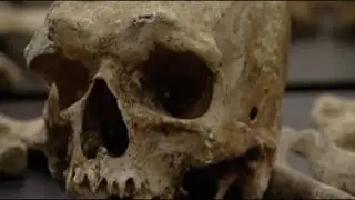 Buried Secrets - The search of history through skeletal remains