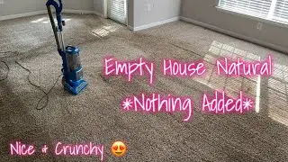 Empty House Natural 🏡😍 100% Natural Nothing Added | Shark Vacuum (read description)