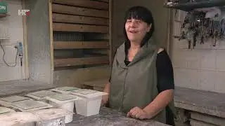MANJINSKI MOZAIK HTV : DOBAR VJETAR U LEĐA