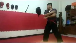 Robin - Samchien Exercise