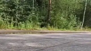 Riding a bike. Expectations vs Reality